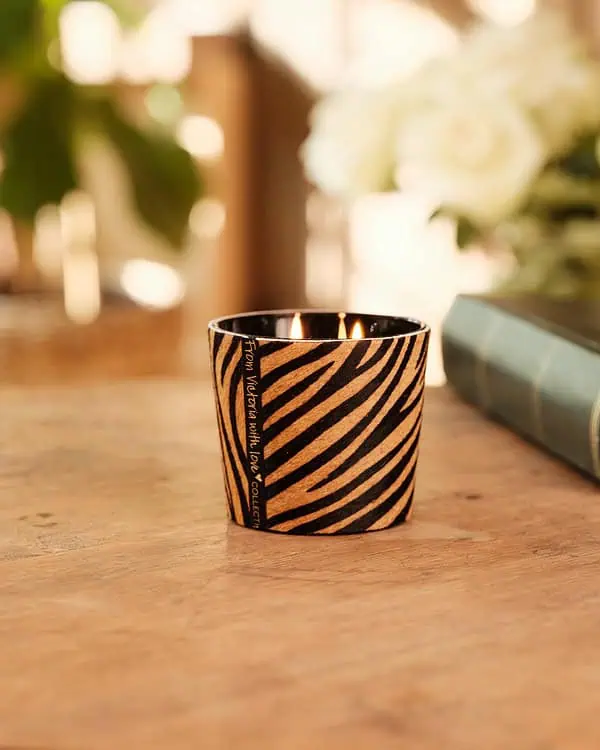 HAIRY ZEBRA BROWN