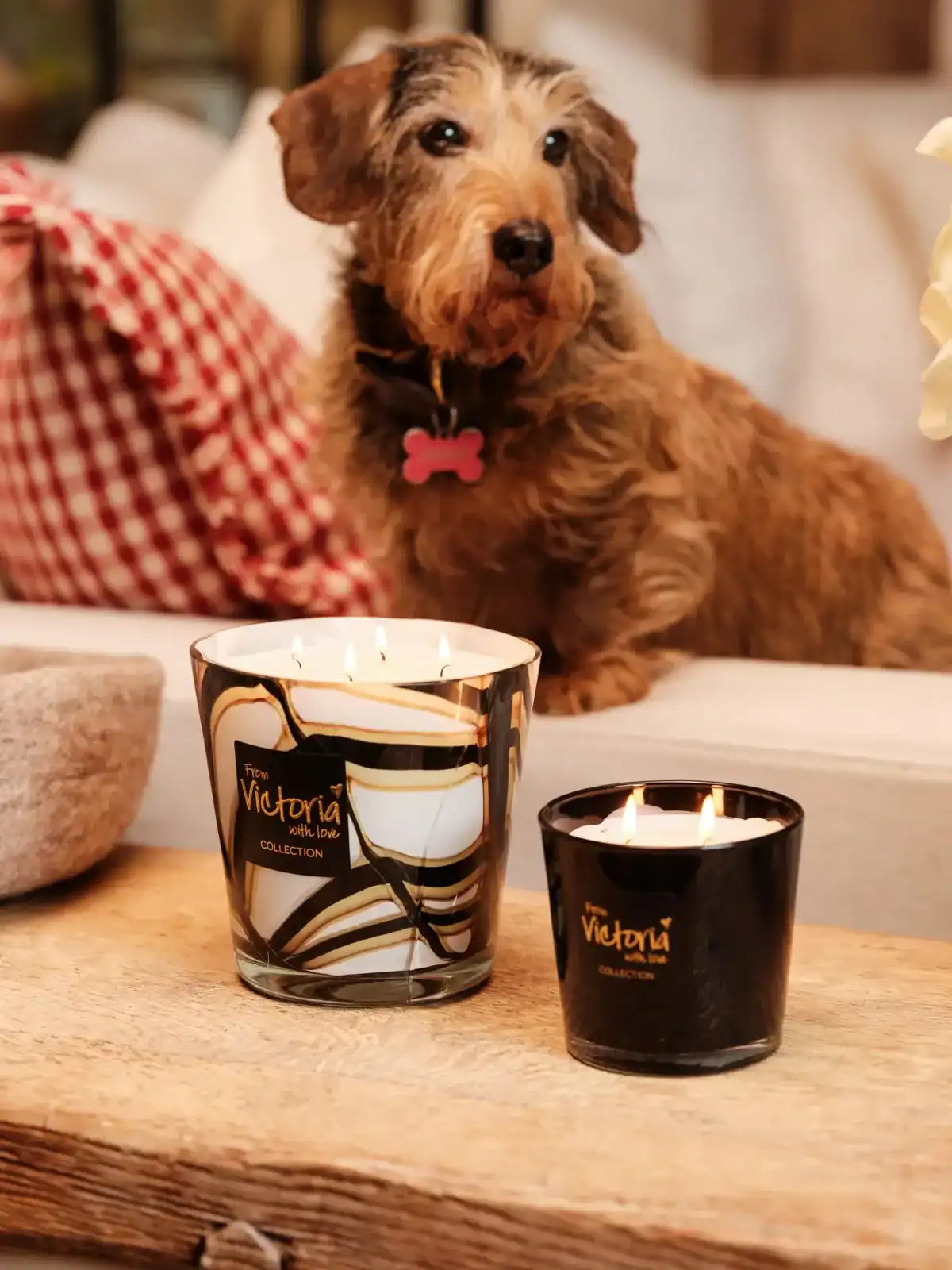 Cute Dog sitting next to Luxurious Victoria With Love Scented Candles
